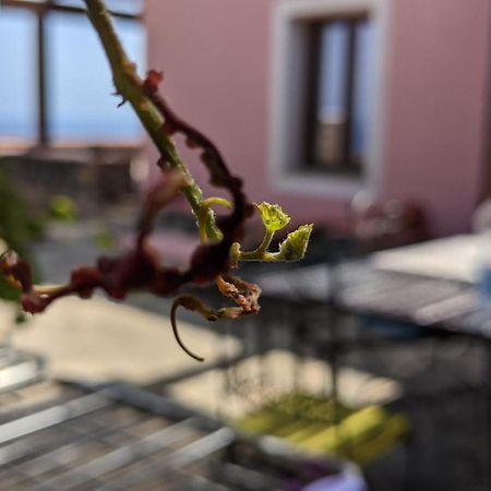 Bed and Breakfast Horizon Pantelleria Campobello Exterior foto