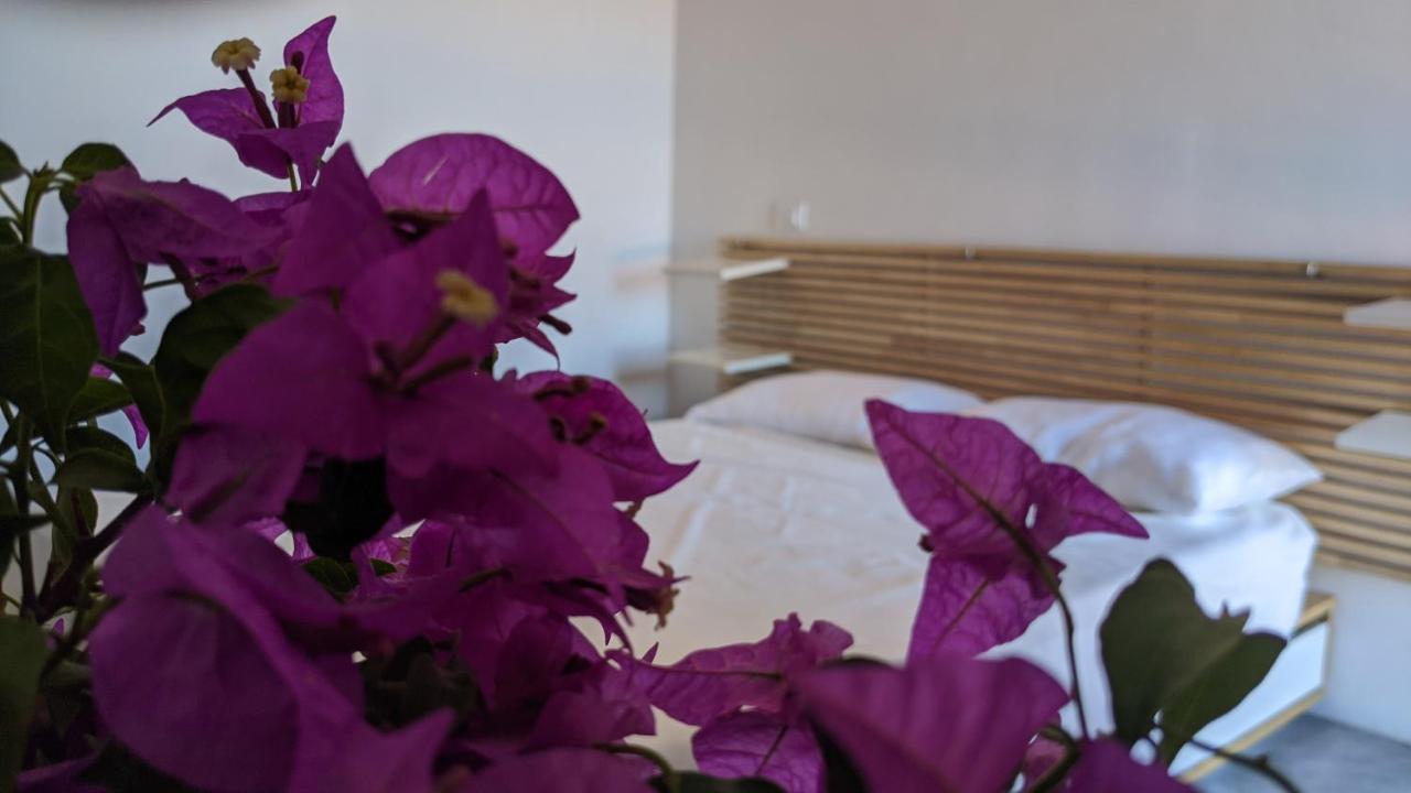 Bed and Breakfast Horizon Pantelleria Campobello Exterior foto