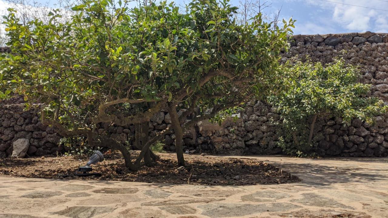 Bed and Breakfast Horizon Pantelleria Campobello Exterior foto