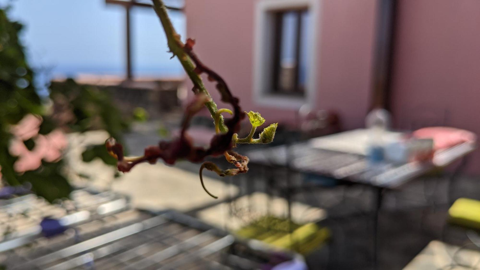 Bed and Breakfast Horizon Pantelleria Campobello Exterior foto
